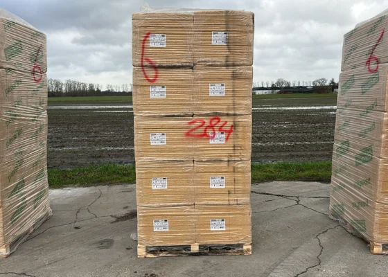 Outletpartij 284 Pavaflex houtvezelisolatie Rd:1,55 1220x575x60mm 80st (=56,10m²)